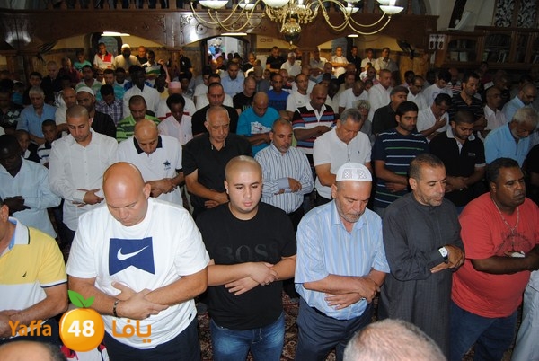 mahmoduia 3eed 808 (19).JPG